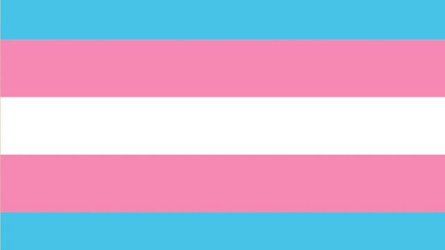 La bandera trans cumple 20 años. Conoce toda la historia