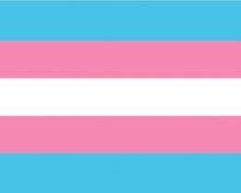 La bandera trans cumple 20 años. Conoce toda la historia